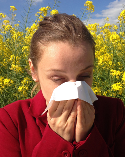 Probiotics may help with seasonal allergies